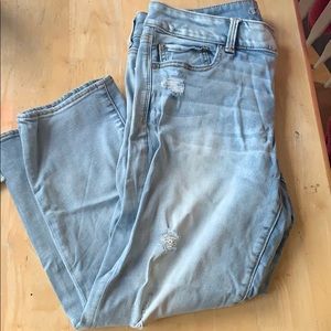 Light Wash Artist Crop